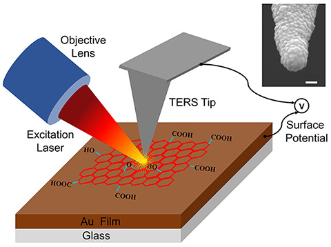 1532421964406060.jpg Fig 1.jpg